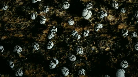 Slime Mold and Mold Growing in Extreme Macro, Microscopic Nature 4K Video Stock Footage 341146352