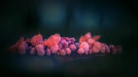 Slime Mold and Mold Growing in Extreme Macro, Microscopic Nature 4K Video Stock Footage 341266029