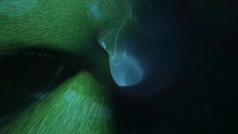 Slime Tunnel, Vortex, Wet, Slime, VJ Loop, Semaless, 3D Tunnel, Stock Footage 255386805