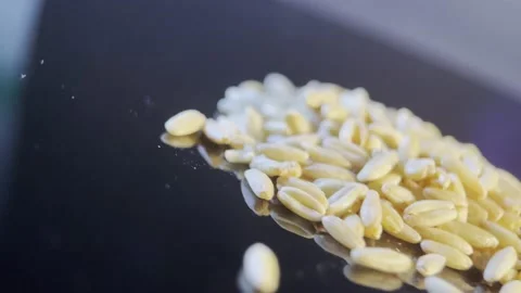 Slimming oatmeal (4) Stock Footage 202257852