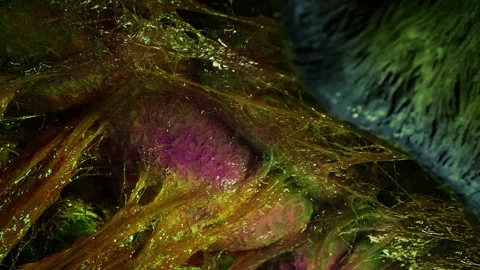Slimy Colorful Alien Creature Opens Up On Ceiling Stock Footage 263825962