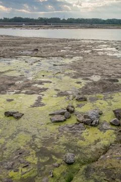 Slimy Tide Pools Fotos Stock