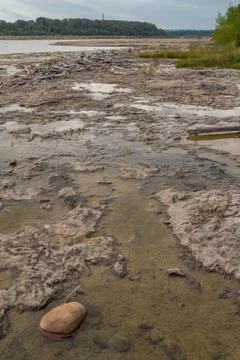 Slimy Tide Pools 스톡 사진