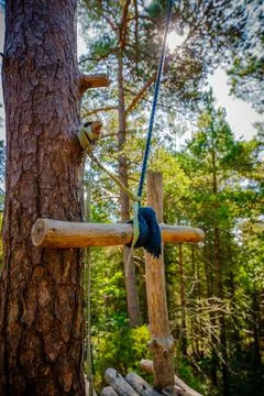 Sling tied to tree Stock Photos