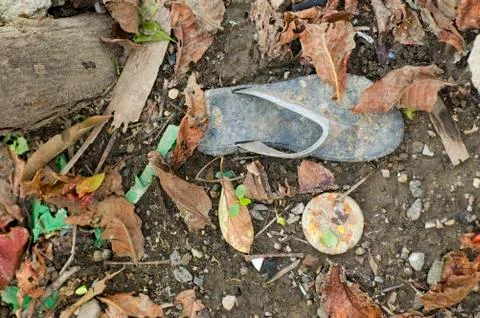 Slipper Foto stock