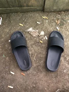 Slippers 库存照片