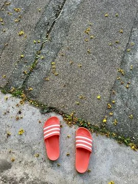 Slippers 写真素材