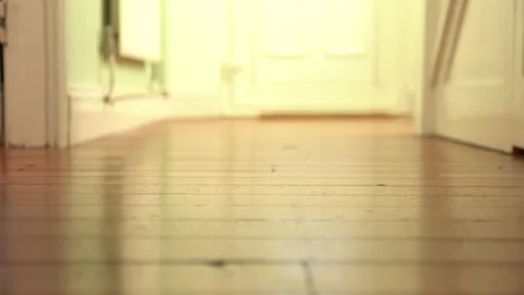 Slippers walking up and down hallway Stock Footage 147447208