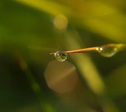 Slippery drop Foto stock