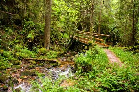 Slippery Stock Photos