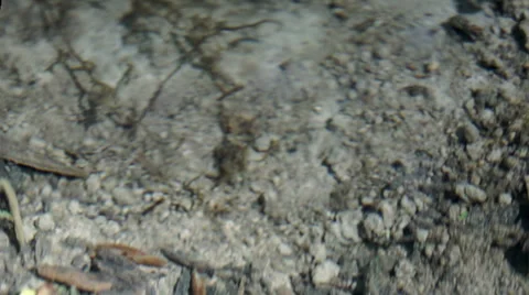 Slipping through the spring Video stock 38706365