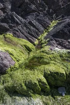 Slippy mossy rocks Foto stock