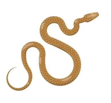 Slither Brown Python Snake Top View Vector Icon Stock Illustration