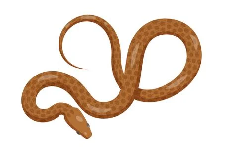 Slither Brown Python Snake Top View Vector Icon Stock Illustration