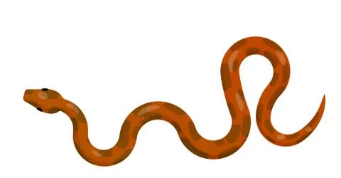 Slither Red Python Snake Top View Vector Icon Stock Illustration