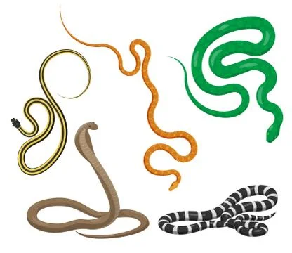 Slither Snakes Top View Vector Icons Set Illustrazione stock