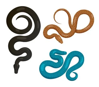 Slither Snakes Top View Vector Icons Set Stock Illustration