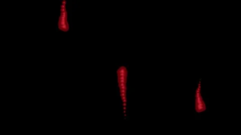Slithering Red Drops Seamless Looping Motion Graphic Background. HD 1080 Stock Footage 87995657