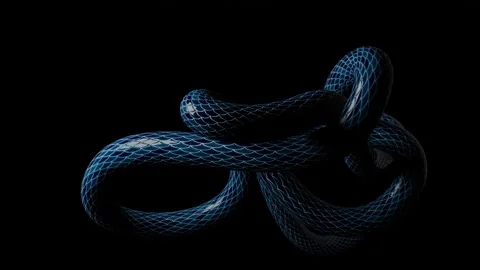 Slithering snake body Stock Footage 155278057