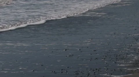 Slithering waves on beach Stock Footage 8550940
