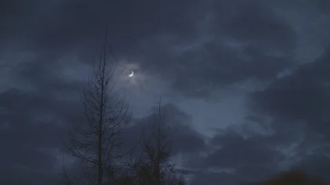 Sliver of moon and bare Tree in Dark Evening Stock Footage 96005807