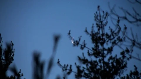 Sliver moon rise Stock Footage 72825029