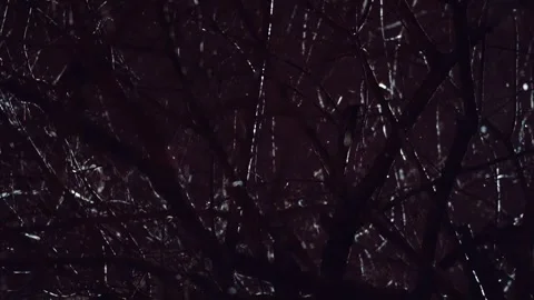 Slo Mo 720p100 9 Stock Footage 102303031