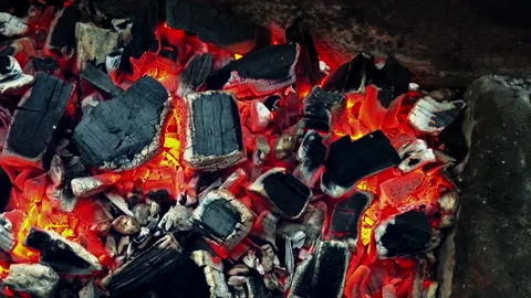Slo-mo burning charcoals Video stock 154313143