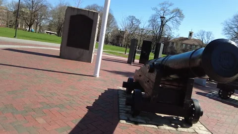 SLO MO CANNON STATUE Stock Footage 194835258