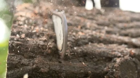 SLO MO Chainsaw cutting into a tree trunk Man sawing wood with a chainsaw a lot 스톡 동영상 336570510