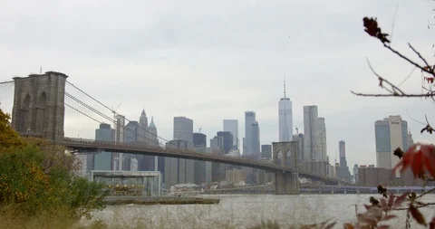 Slo mo of Colourful Landscape With Trees and Nature of Brooklyn Bridge USA Stock Footage 110617922