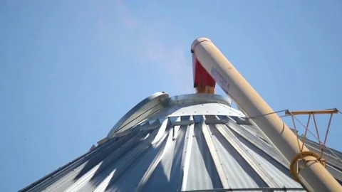 SLO MO Combine Harvester Unloading Corn Grains into silo on Field at Sunset. Stock Footage 270465873