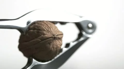 SLO MO CU Studio shot of walnut in nut cracker against white background Stock Footage 11292612