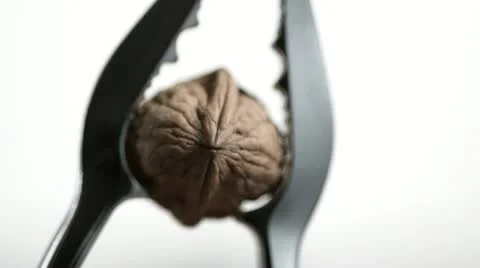 SLO MO CU Studio shot of walnut in nut cracker against white background Stock Footage 11292613