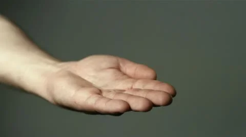 SLO MO CU Studio shot of yellow gerbera falling on hand on gray background Stock Footage 11292699