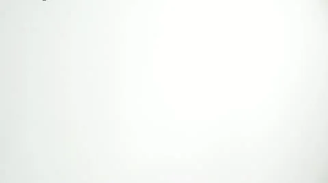 SLO MO CU Studio shot of multicolored gerbera flowers falling against white Stock Footage 11292708