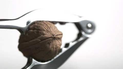 SLO MO CU Studio shot of walnut in nut cracker against white background Stock Footage 51860165