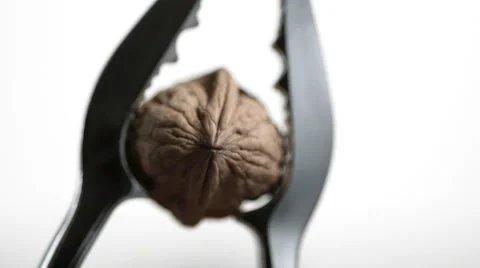 SLO MO CU Studio shot of walnut in nut cracker against white background Stock Footage 51860167