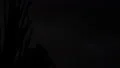 slo mo flashes in the sky with desert life silhouettes 5 HD Footage