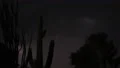 slo mo flashes in the sky with desert life silhouettes 1 HD Footage