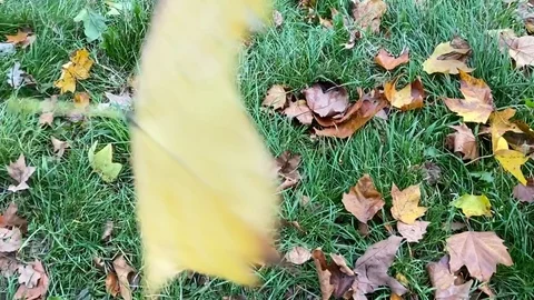 Slo-mo leaf falling on the groud Stock-Footage 119207121