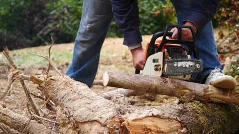 SLO MO Logger making a cut into the tree with a chainsaw Cutting through wood 스톡 동영상 336570632