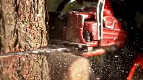 SLO MO Man cutting down a tree Tropical deforestation Wood Shavings chainsaw, Stock Footage 336570353