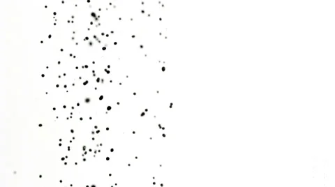 SLO MO MS Studio shot of black liquid falling against white background Stock Footage 51860895