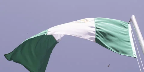 Slo-Mo Nigerian Flag Stock Footage