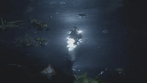 Slo-mo of a river at night Video stock 244659294