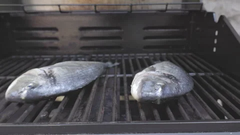 SLO MO Salt falling onto the fish set on the grill Stock Footage 244979811