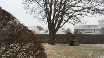 Slo-mo snow backyard Video stock 85573088