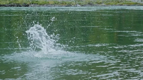 SLO MO, Stone falling into the mountain river. Stock Footage 260689996