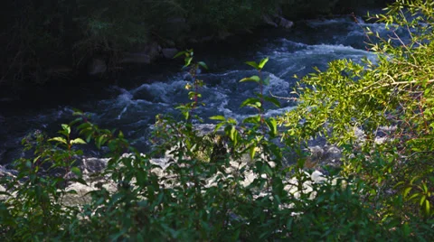 Slo-mo stream medium-shot HD Video stock 34215442